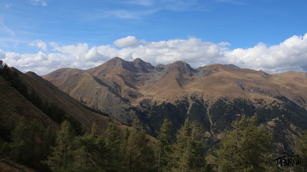 Panorama du Wonderland