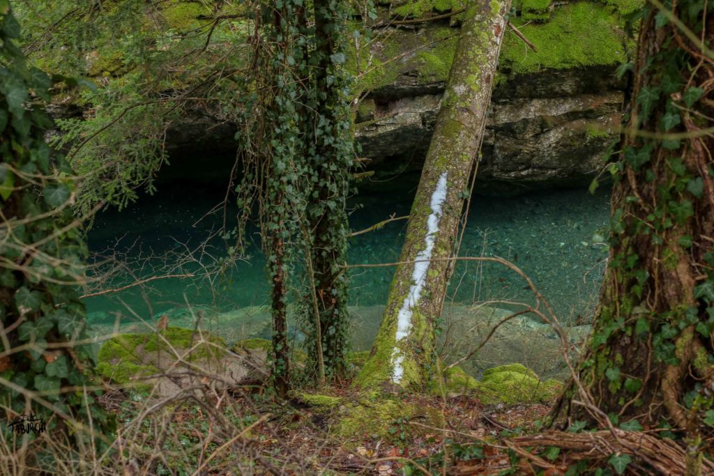 Une Théorie Naturelle