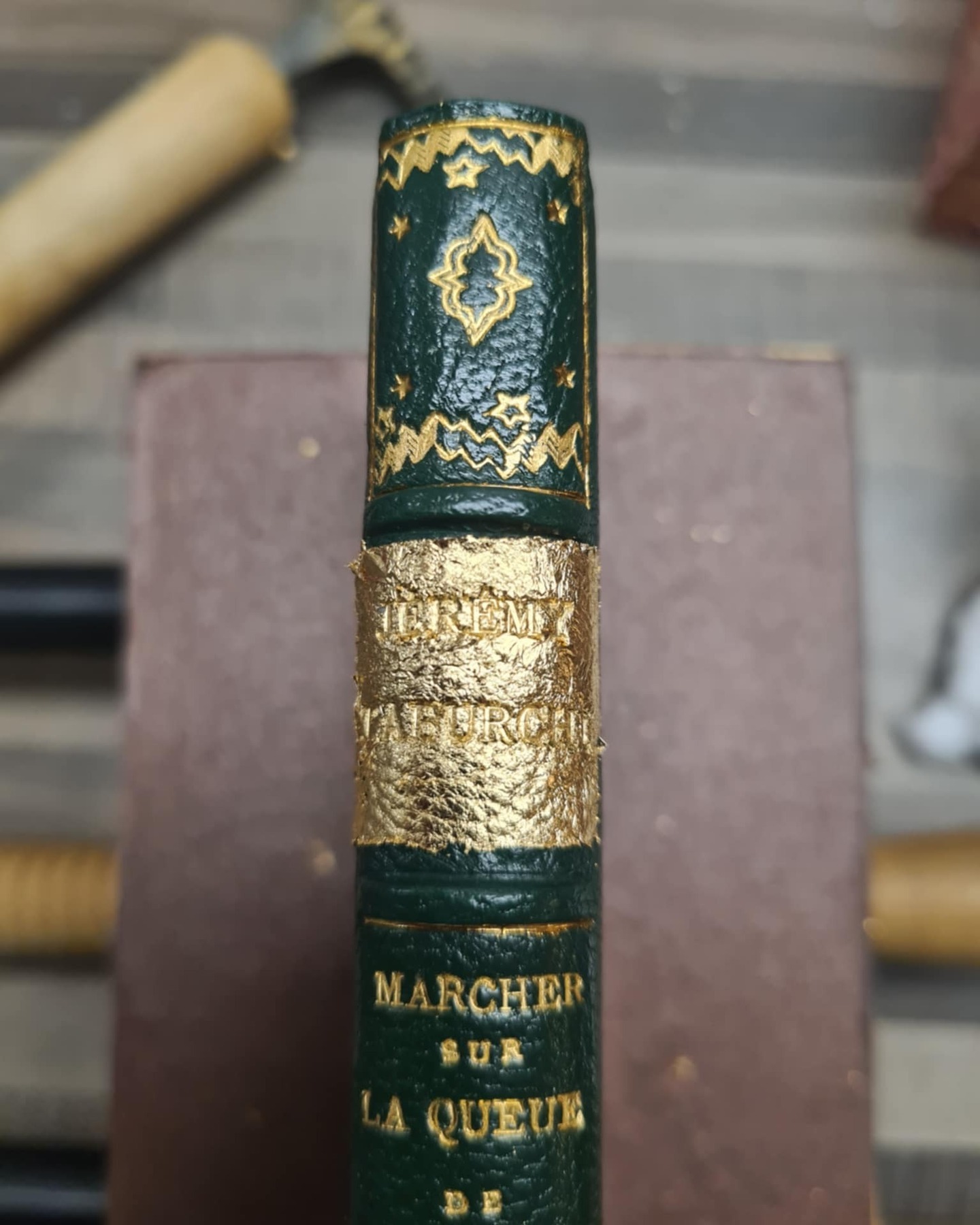 Un exemple de dorure appliquée sur le dos d'un des exemplaires reliés