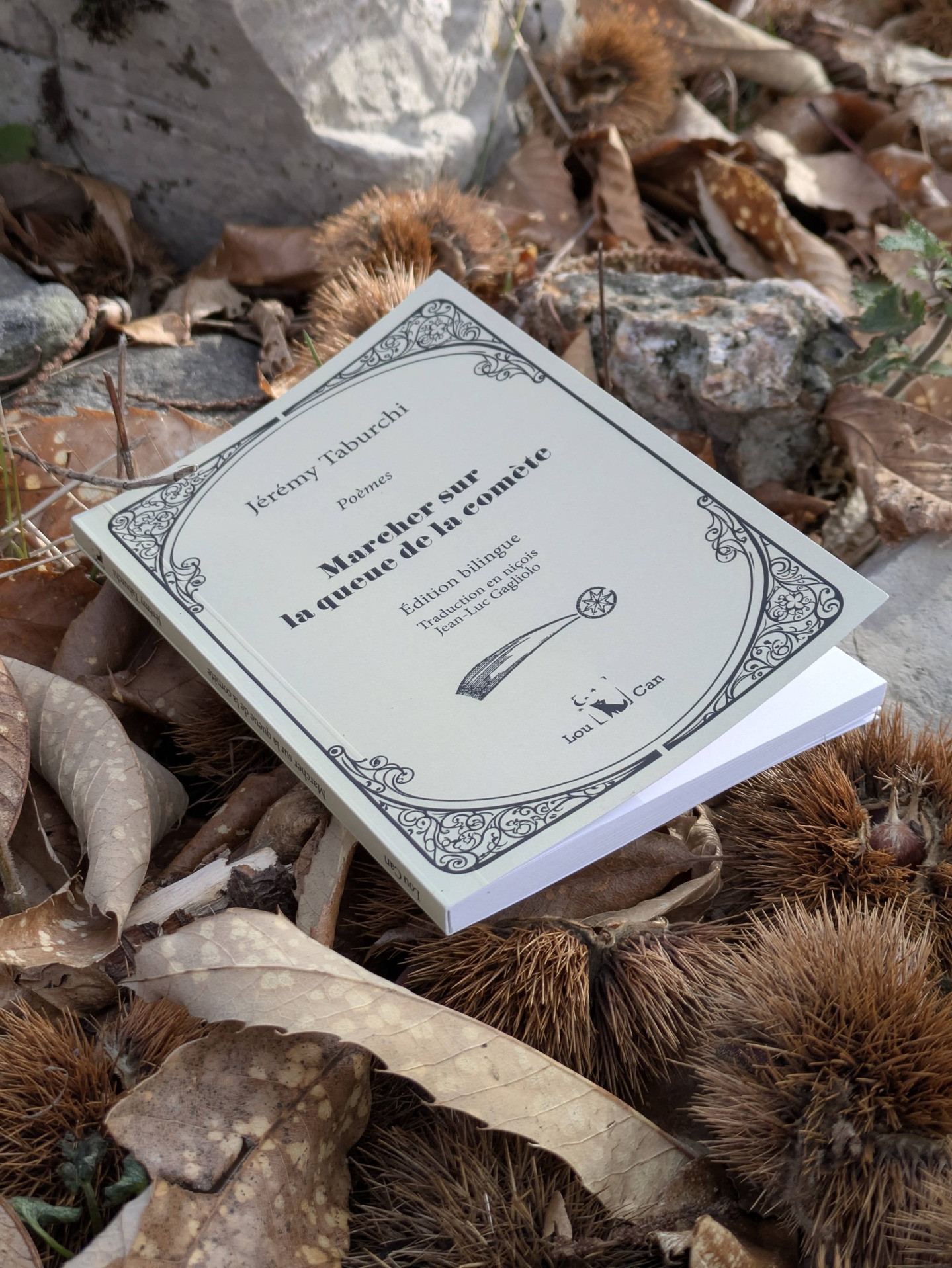 Une seconde édition de mon recueil de poèmes